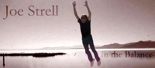 Joe Strell - In the Balance